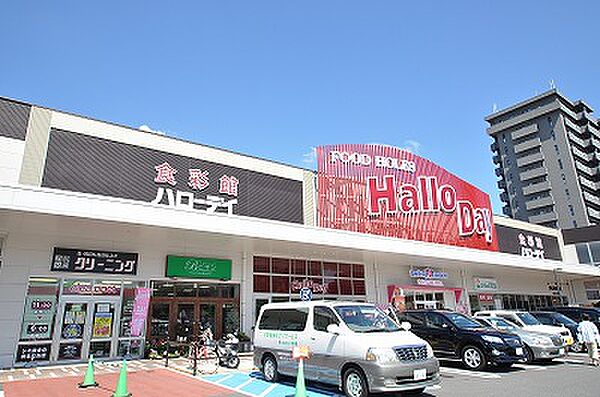 ハローデイ共立大前店・（1010m）