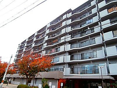 朝日プラザ天王寺 515号室 5階 29 04m2 1k 980万円