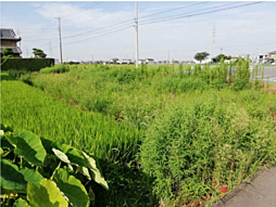 物件画像 売地　弥富市竹田　AI