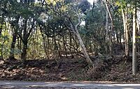 千葉県鴨川市西：物件画像