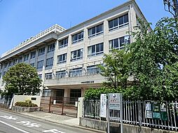 [周辺] 川崎市立南加瀬小学校まで650m、平坦地だから低学年のお子さんも通学ラクラク