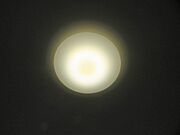照明器具付きです。