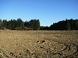 物件画像 東山B