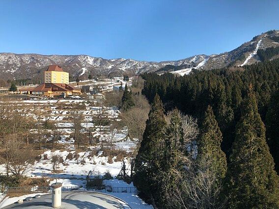お部屋からの眺...