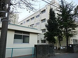 [周辺] 横浜市立常盤台小学校まで350m