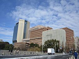 [周辺] 東京医科歯科大学病院 593m