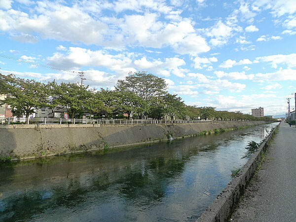 画像19:川沿いの桜並木がきれいです