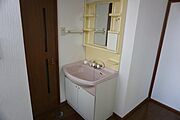 シャンプードレッサー