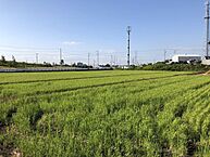 愛知県安城市東端町丸ノ内：物件画像