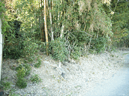 物件画像 山野 仲之内