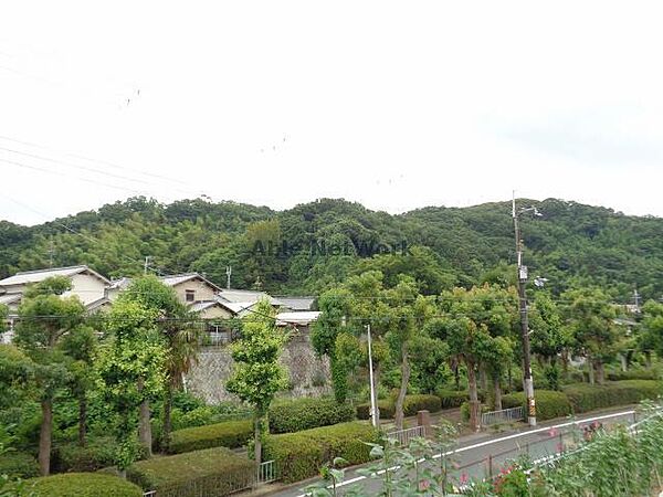 栄マンション 204｜大阪府河内長野市栄町(賃貸アパート2DK・2階・33.00㎡)の写真 その15