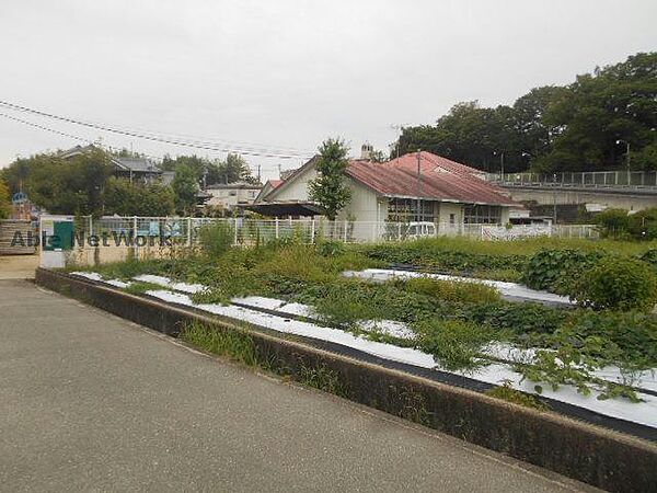 画像20:富田林市立錦郡幼稚園551m