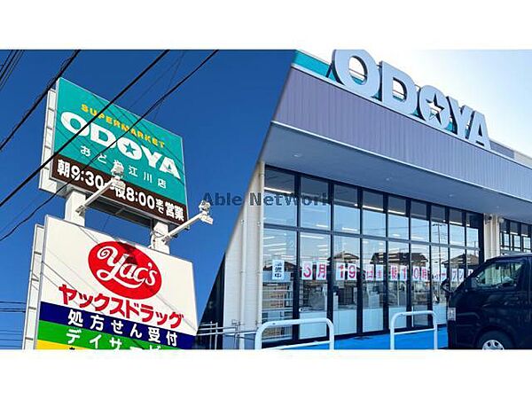 画像25:ODOYA江川店2188m