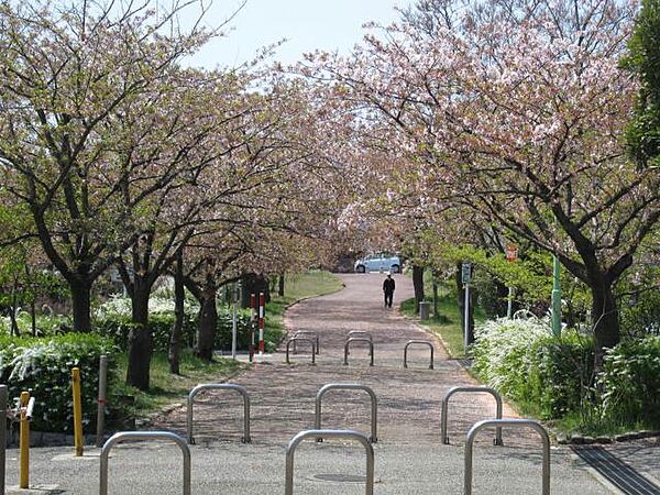 コーポ佐々木 ｜新潟県新潟市西区寺尾西１丁目(賃貸アパート2DK・2階・39.74㎡)の写真 その26