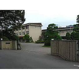 エルヴィン