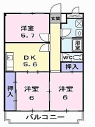セレニオンハイツ 3DKの間取図画像