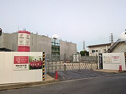 ローズ　ライン 406