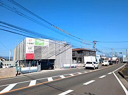 アベリア・ルル　I