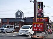 【その他】すき家まで250ｍ