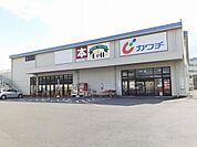 【ドラッグストア】カワチ薬品水海道店まで800ｍ