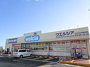 【ドラッグストア】ウエルシア馬渡向野店まで800ｍ