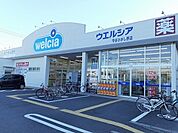 【ドラッグストア】ウエルシア守谷ひがし野店まで800ｍ
