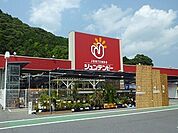【ホームセンター】ジュンテンドー岩国インター店まで650ｍ