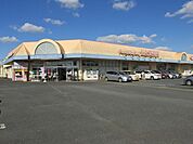 【スーパー】カスミ 上三川店まで1100ｍ