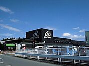 【ホームセンター】ジョイフル本田 荒川沖店まで650ｍ