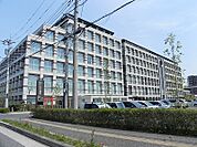 【総合病院】柏たなか病院まで700ｍ