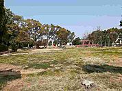 【公園】松の木公園まで1000ｍ