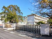 【小学校】鴛野小学校まで190ｍ