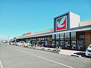 【スーパー】ヨークベニマル若林店まで700ｍ