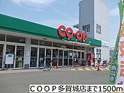 【スーパー】ＣＯＯＰ多賀城店まで1500ｍ