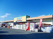 【ホームセンター】モリスホームセンター　花田店まで2400ｍ