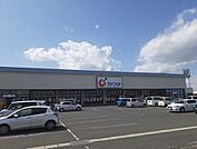【ドラッグストア】カワチ薬品　古川店まで750ｍ