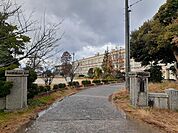 【小学校】鳥取市立世紀小学校まで900ｍ