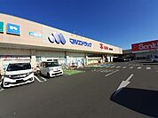 【ドラッグストア】マルエドラッグ駒形店まで1100ｍ