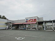 【スーパー】イスミ錦店まで850ｍ