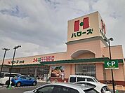 【スーパー】ハローズ西条店様まで1100ｍ