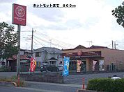 【その他】ホットモットまで800ｍ