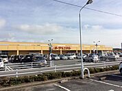 【スーパー】ヨークベニマル 植田店まで1500ｍ