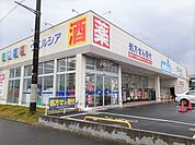 【ドラッグストア】ウエルシア鹿嶋平井店まで1300ｍ