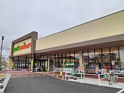 【スーパー】ヨークベニマル浜田店まで800ｍ