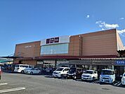 【ホームセンター】ホームセンター 山新宇都宮店まで1000ｍ