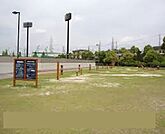 【公園】刈谷市総合運動公園まで2400ｍ