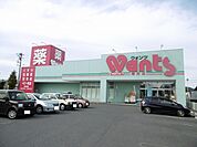 【ドラッグストア】ウォンツ柳井店まで600ｍ