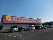 【ドラッグストア】クスリ岩崎チェーンイオン柳井店まで700ｍ