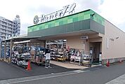 【スーパー】小田原百貨店板橋店まで650ｍ