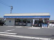 【コンビニエンスストア】ローソンまで800ｍ